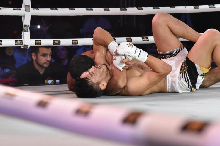 İdmançılarımız MMA və kikboksinq üzrə beynəlxalq yarışda qalib gəlib